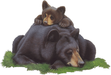 Animaux