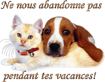 Animaux