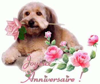 Anniversaire
