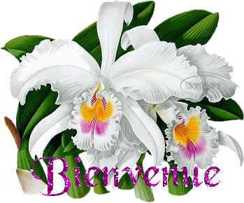 Bienvenu