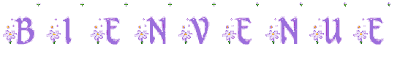 Bienvenu