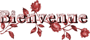 Bienvenu