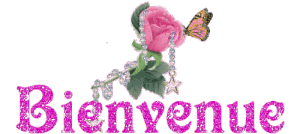 Bienvenu
