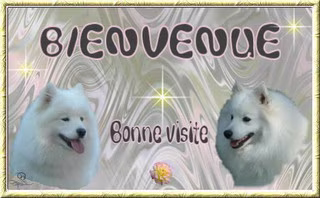 Bienvenu