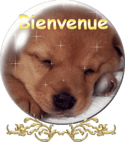 Bienvenu