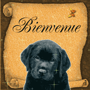 Bienvenu