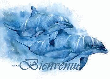 Bienvenu