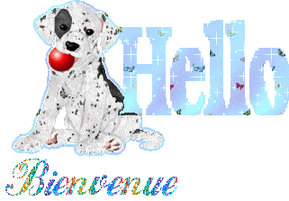 Bienvenu