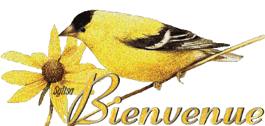 Bienvenu
