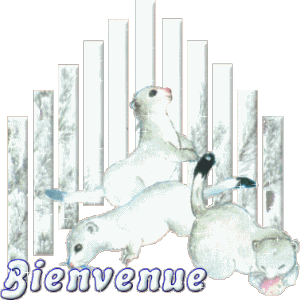 Bienvenu