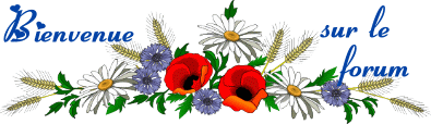 Bienvenu