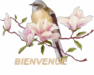 Bienvenu