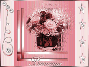 Bienvenu