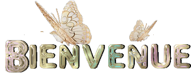 Bienvenu