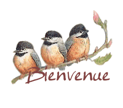 Bienvenu