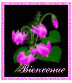 Bienvenu