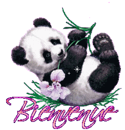 Bienvenu