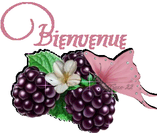 Bienvenu