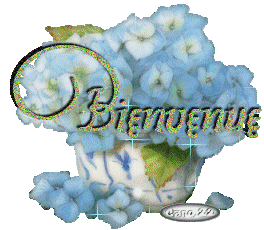 Bienvenu