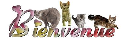 Bienvenu