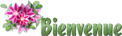 Bienvenu