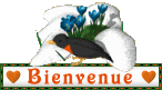 Bienvenu