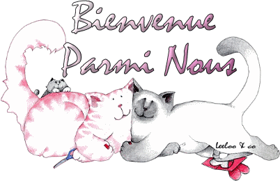 Bienvenu