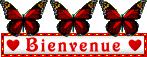 Bienvenu