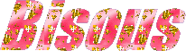 Bisous