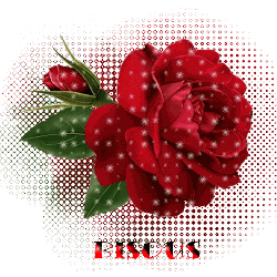 Bisous