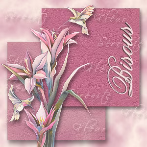 Bisous