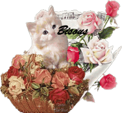 Bisous