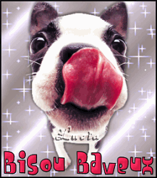 Bisous