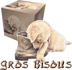 Bisous