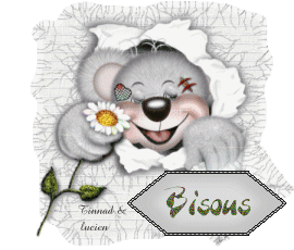 Bisous