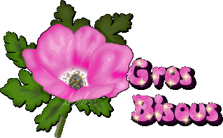 Bisous
