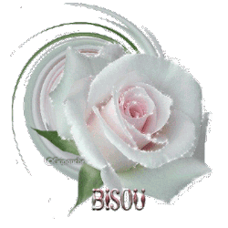 Bisous