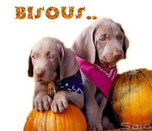 Bisous