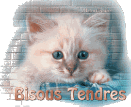Bisous