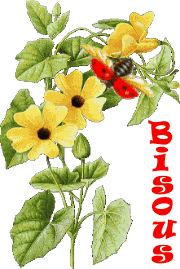 Bisous
