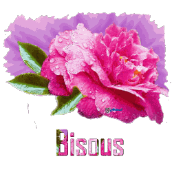 Bisous