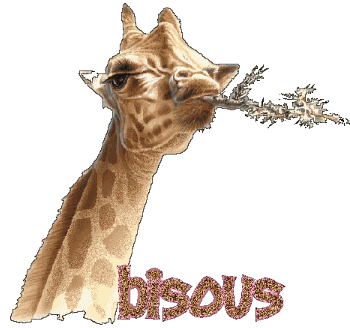 Bisous