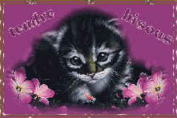 Bisous