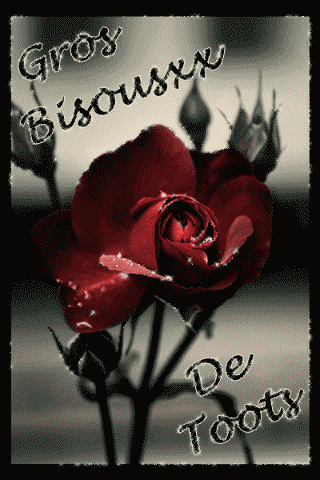 Bisous