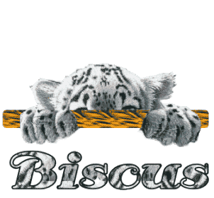 Bisous