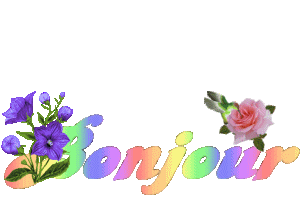 Bonjour