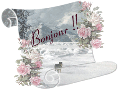 Bonjour