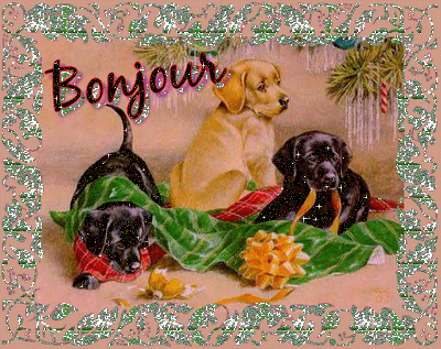 Bonjour