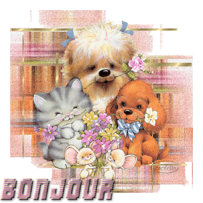 Bonjour
