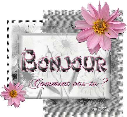 Bonjour